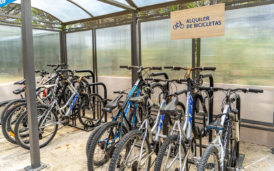 Alquiler de bicicletas