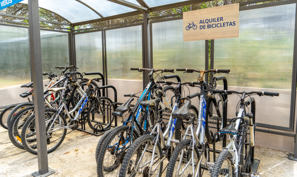 Bicycle rental